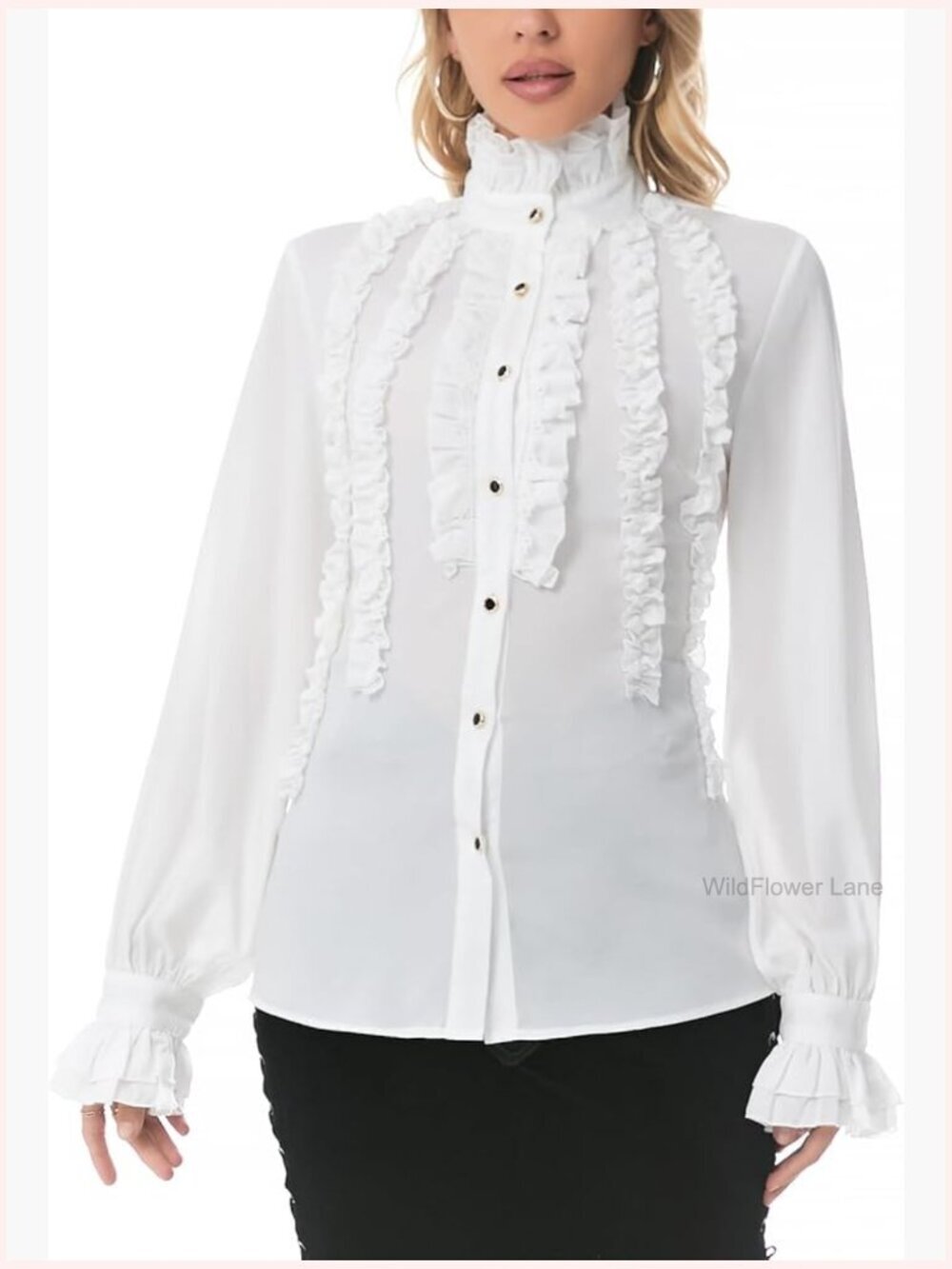 Victorian Gothic High Neck Long Sleeve Ruffle Blouse Steampunk Lolita Costume